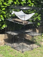 Gabbia per gatti usato  Seregno