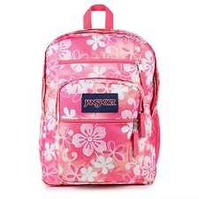 Jansport big student for sale  USA