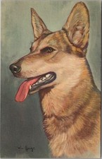 Cartão postal antigo de raça de cachorro "cão policial" - Alma No. 302 / Não usado comprar usado  Enviando para Brazil