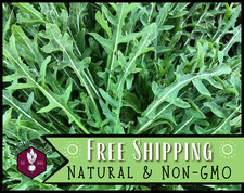 700 arugula seeds for sale  Detroit