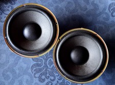 Woofer vintage aiwa usato  Aprilia