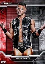 ⭐ TOPPS WWE SLAM | WARSTWY 25 | KOMPLETNE ZESTAWY ⭐ na sprzedaż  Wysyłka do Poland