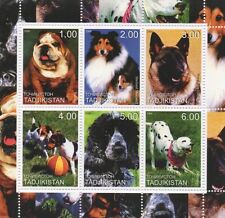 Bulldog shetland sheepdog d'occasion  Expédié en Belgium