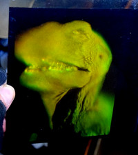 Art hologram rex for sale  Lancaster