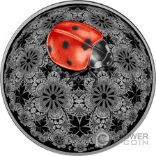Coccinella entoma colorata usato  Ciampino