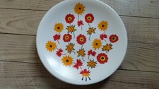 Assiettes mélamine vintage d'occasion  Pulversheim