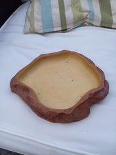 Tortoise bath water for sale  GLASGOW