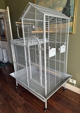 Large grey parrot for sale  SHEFFIELD
