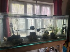 5ft 2ft aquarium for sale  BIRMINGHAM