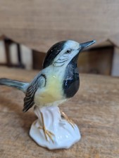 Karl ens oiseaux d'occasion Karl ens oiseaux d'occasion  Morlaix