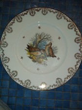 Lot assiettes porcelaine d'occasion Lot assiettes porcelaine d'occasion  Étaples