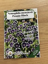 Nemophila menziesii pennie for sale Nemophila menziesii pennie for sale  BRIDGEND