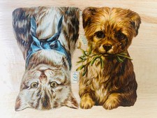 Dog cat 497 for sale  STOURBRIDGE