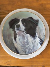 Border collie collectable for sale  Cedar City
