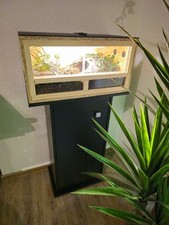 terrarium unterschrank gebraucht kaufen terrarium unterschrank gebraucht kaufen Schwerte