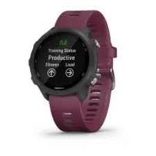 Garmin forerunner 245 usato  Spedire a Italy