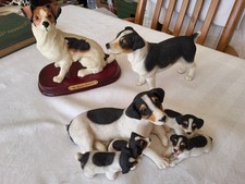 Jack russell collection for sale  NORWICH