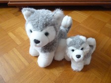 Stofftier hund husky gebraucht kaufen  Kleinrinderfeld
