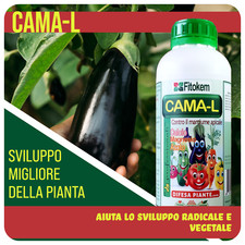 Cama concime per usato  Ziano Piacentino