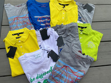 Isabell werth shirts gebraucht kaufen  Moorenweis
