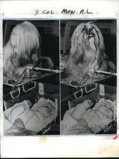 1957 Press Photo Lhasa Apso relógios de cachorro sobre bebê Angela Coolen em Nova York, usado comprar usado  Enviando para Brazil