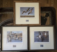 Framed richard plasschaert for sale  Kensington