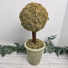 Potted artificial moss for sale  Monroe