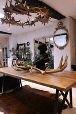 Giant deer antler for sale  LEICESTER