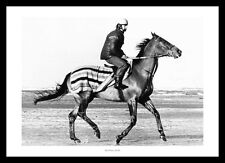 Red rum training for sale  FARNHAM