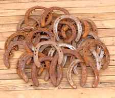 Used horseshoe rusty for sale  Dubois