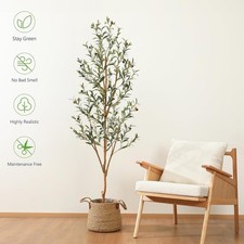 Kazeila artificial olive for sale  LEICESTER