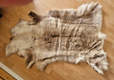 Rentier fell echt gebraucht kaufen  Bad Oeynhausen