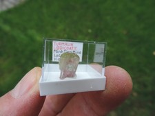 Turmalin liddicoatit minh gebraucht kaufen Turmalin liddicoatit minh gebraucht kaufen  Limbach-Oberfrohna