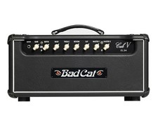 Bad cat cub for sale  Winchester