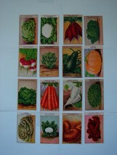 Vintage french seed for sale  PENZANCE