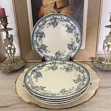 Lot assiettes plates d'occasion  Gurgy