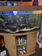 3 foot aquarium for sale  BARNSLEY