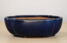 Vaso bonsai japonês oval esmaltado azul escuro 4,7 pol. (12 cm) Mokko Y824 comprar usado  Enviando para Brazil