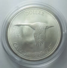 Canada dollar 1967 usato  Italia