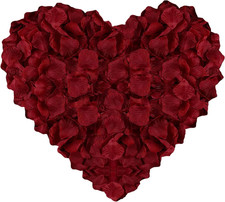 Petali rose 1200 usato  Roma