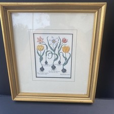 Quadro dourado arte impressão vidro vintage tulipa bulbos gráfico flores jardim planta comprar usado  Enviando para Brazil