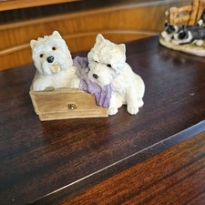 Sherratt simpson dogs for sale  BARNSLEY