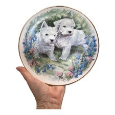 Vintage decorated plate for sale  Potosi