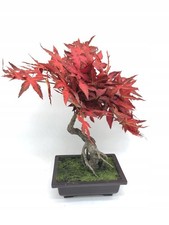 Sztuczne drzewo bonsai 50cm, czerwony klon, dekoracyjne, elastyczne, plastikowe na sprzedaż  PL