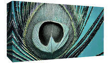 Abstract peacock duck for sale  WINSFORD