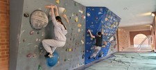 Professional made climbing for sale  WINDSOR