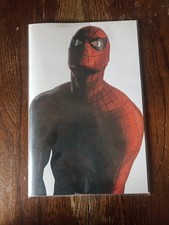 Amazing spider man usato  Biassono