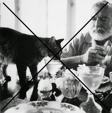 Photo ernest hemingway d'occasion Photo ernest hemingway d'occasion  Toulouse-