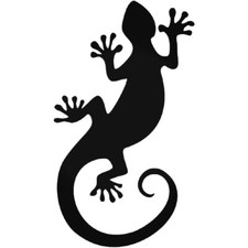 New gecko lizard for sale  Fenton
