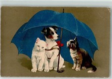 39192974 katze hund gebraucht kaufen  Eimeldingen